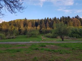 Domki u Brzeginy - Ustrzyki Dolne - 3