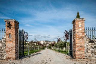 Agriturismo Borgo di Calmasino - Bardolino - 6