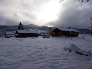 chalets les 5 loups - Gerbépal - 9