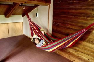 Spa Lodge Redwood Inn - Takayama - 7