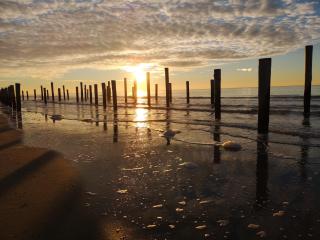 Nieuw Strand - Petten - 9