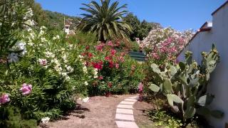 B&B Vacanza Facile - Costa Rei - 6