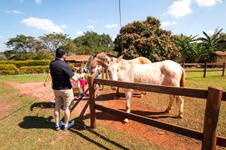 Hotel Fazenda Areia que Canta - Brotas - 5