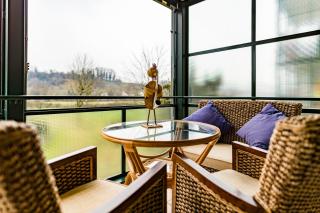 Modern, Cozy Large Apartment with Terrace in Basel- Allschwil - Allschwil - 2