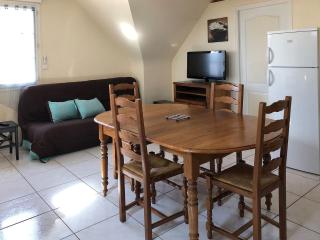 Les Agapanthes La Riche - 2