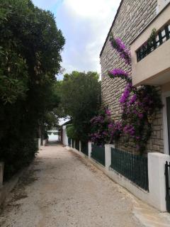 Apartments Brlečić - Pirovac - 6