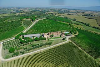 Agriturismo Terra Rossa - Valiano - 3