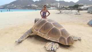 Basic Hotel - Mindelo - 6
