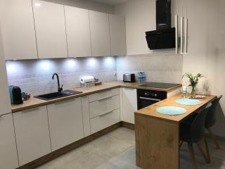 DbD Apartament Gray Turkus Studio - Stettin - 1
