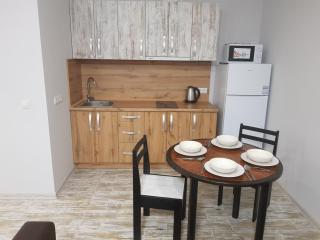 Silver Star Apartment 40m - Uschhorod - 4
