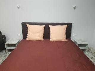 Silver Star Apartment 40m - Uschhorod - 8