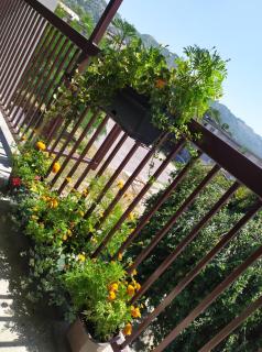 Guest House Pansion 10 - Cetinje - 3
