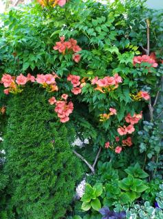 Guest House Pansion 10 - 5