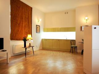 Crystal Suites Old Town - Krakow - 9