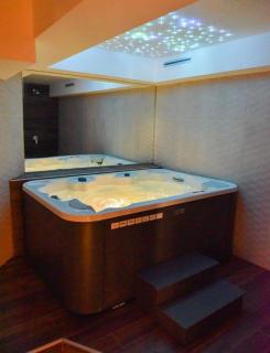 Apartman Pedja zlatiborski konaci 19/22 - Zlatibor - 2