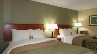 Comfort Inn Near Greenfield Village - Dearborn - 3
