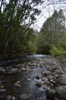 Refugios Canto del Agua - Villarrica - 1