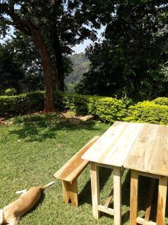 Gammaduwa Heritage Bungalow and Tea Gardens - Matale - 7