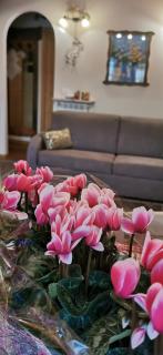 Borgo Alpino Chalet 4 - 3