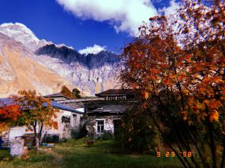 Mountain Hut - Kazbegi - 5