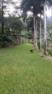 A Daintree Garden - Diwan - 9