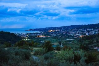 Apartma med oljkami - Portorož - Portorož - 7