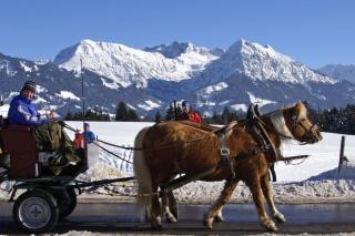 Haflinger Hof - Obermaiselstein - 8