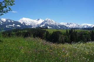 Haflinger Hof - Obermaiselstein - 7