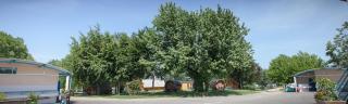 Camping de Tournus - Drole de cabane - Tournus - 1