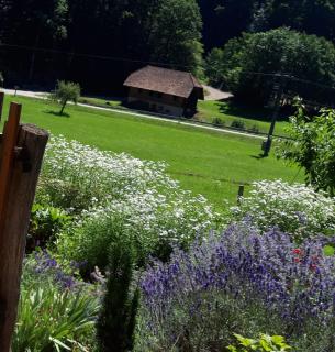 Offenburger Hof - Schuttertal - 3