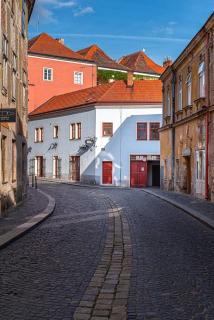 Penzion Maxwilliam - Znojmo - 5