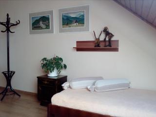 Apartmany Neuwald - Nová Lesná - 9