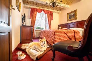 Hotel U Zlatého Stromu Prague by BHG - Prague - 3