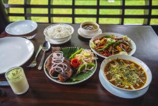 The World Backwaters, Alleppey - Kumarakom - 7