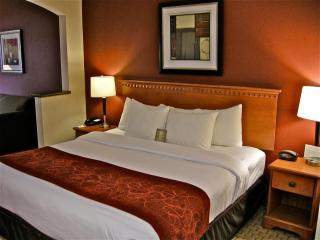 Comfort Suites Redmond Airport - Redmond - 6