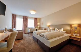 Hotel Herzog Heinrich - Arrach - 4