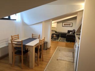 Stylish Studio Apart Aspen Golf Resort - 9