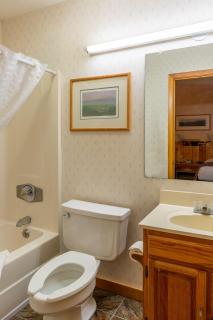 Lodge at Palmer Gulch - Hill City - 9
