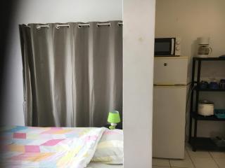 croix sud T2 rdc terrasses jardinet 56m2 - 6