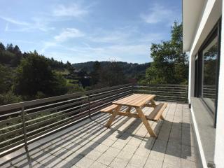 Villa Holgenbach - Penthouse- und Ferienwohnung im Nationalpark Eifel - Schleiden - 3