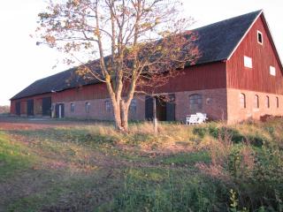 Stålemara Gård Krickan - Fågelmara - 4