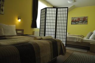 Hotel Zarja - Hočko Pohorje - 6