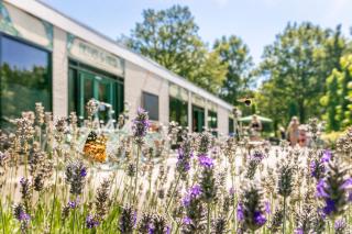 Vakantiepark de Bergen - 8