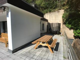 Villa Holgenbach - Penthouse- und Ferienwohnung im Nationalpark Eifel - Schleiden - 2