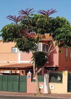Rosas by Villas Rinamar - Las Rosas - 2