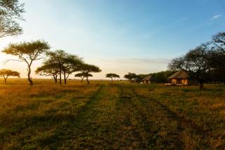 Cherero Camp - Serengeti - 2