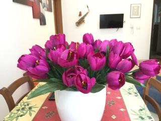 New Alex Home. Al Teatro. - 9