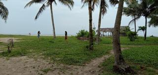 AbbA Marari Beach Villas & Homestay Mararikulam - 6