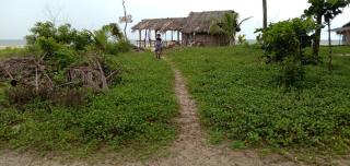 AbbA Marari Beach Villas & Homestay Mararikulam - 4