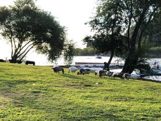 Departamento de lujo a orillas del lago Wifi incluido - 3